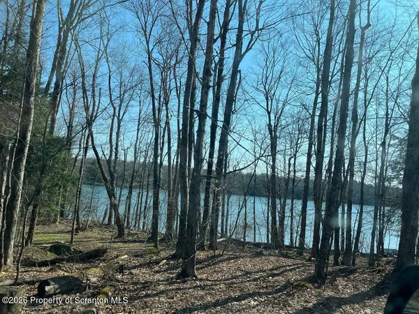 $125,000 | Coxton Woods Lane, Thompson, PA 18465