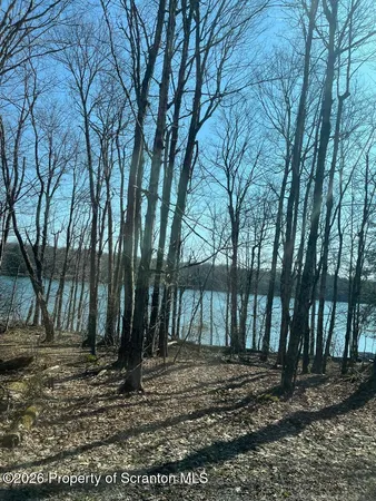 $125,000 | Coxton Woods Lane, Thompson, PA 18465