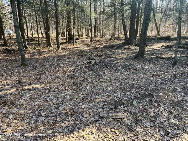$125,000 | Coxton Woods Lane, Thompson, PA 18465