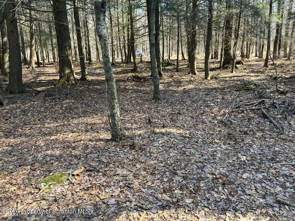 $125,000 | Coxton Woods Lane, Thompson, PA 18465