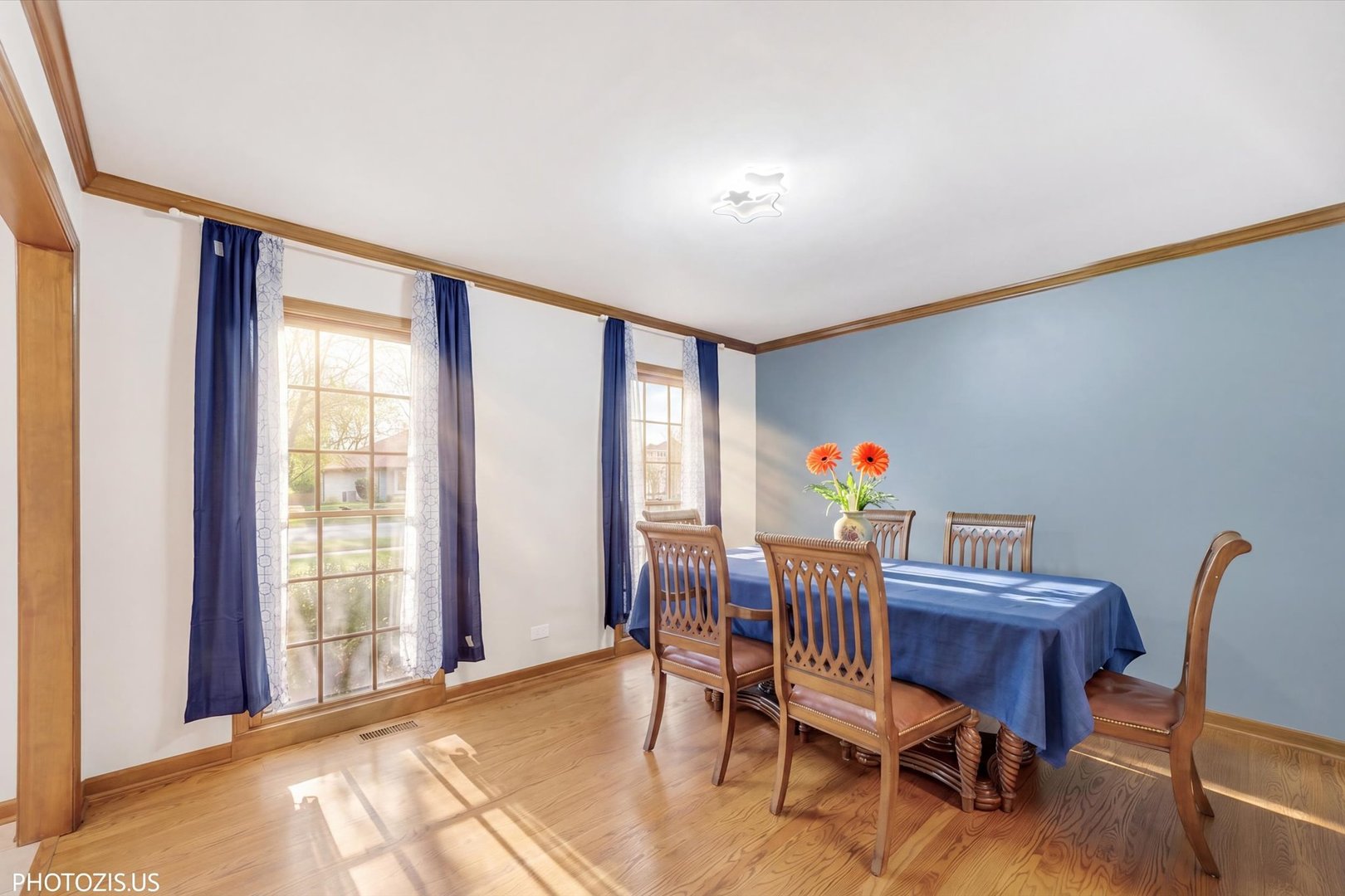 943 West Bailey Road Naperville, IL 60565 - Photo 4 of 51