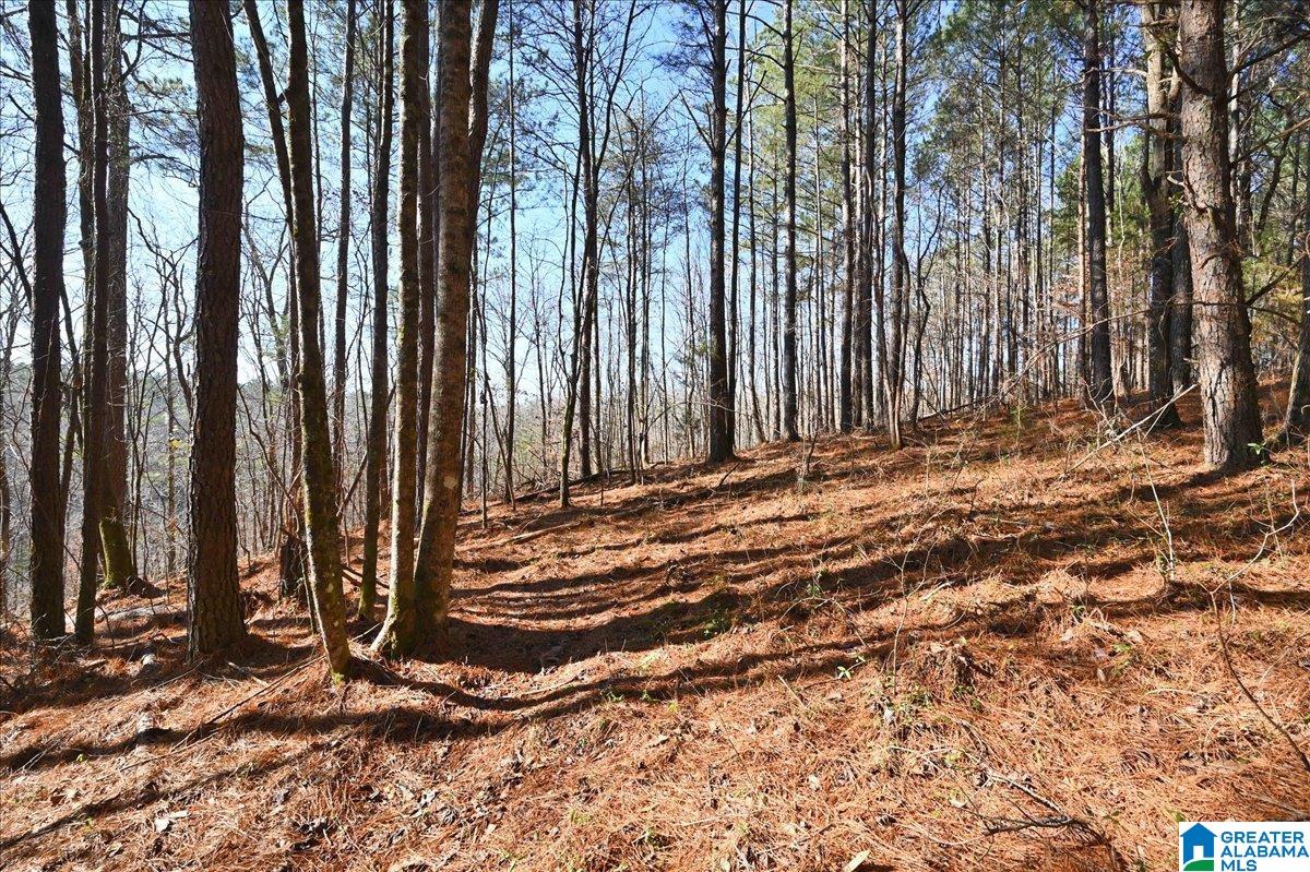 651 Old Hickory Road, Unit 15 ACRES Warrior, AL 35180 - Photo 9 of 13