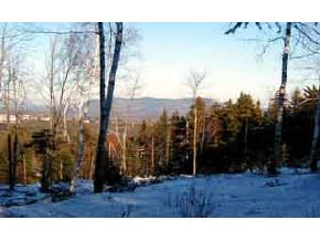 21 Summit Road New London, NH 03260 - Photo 8 of 9