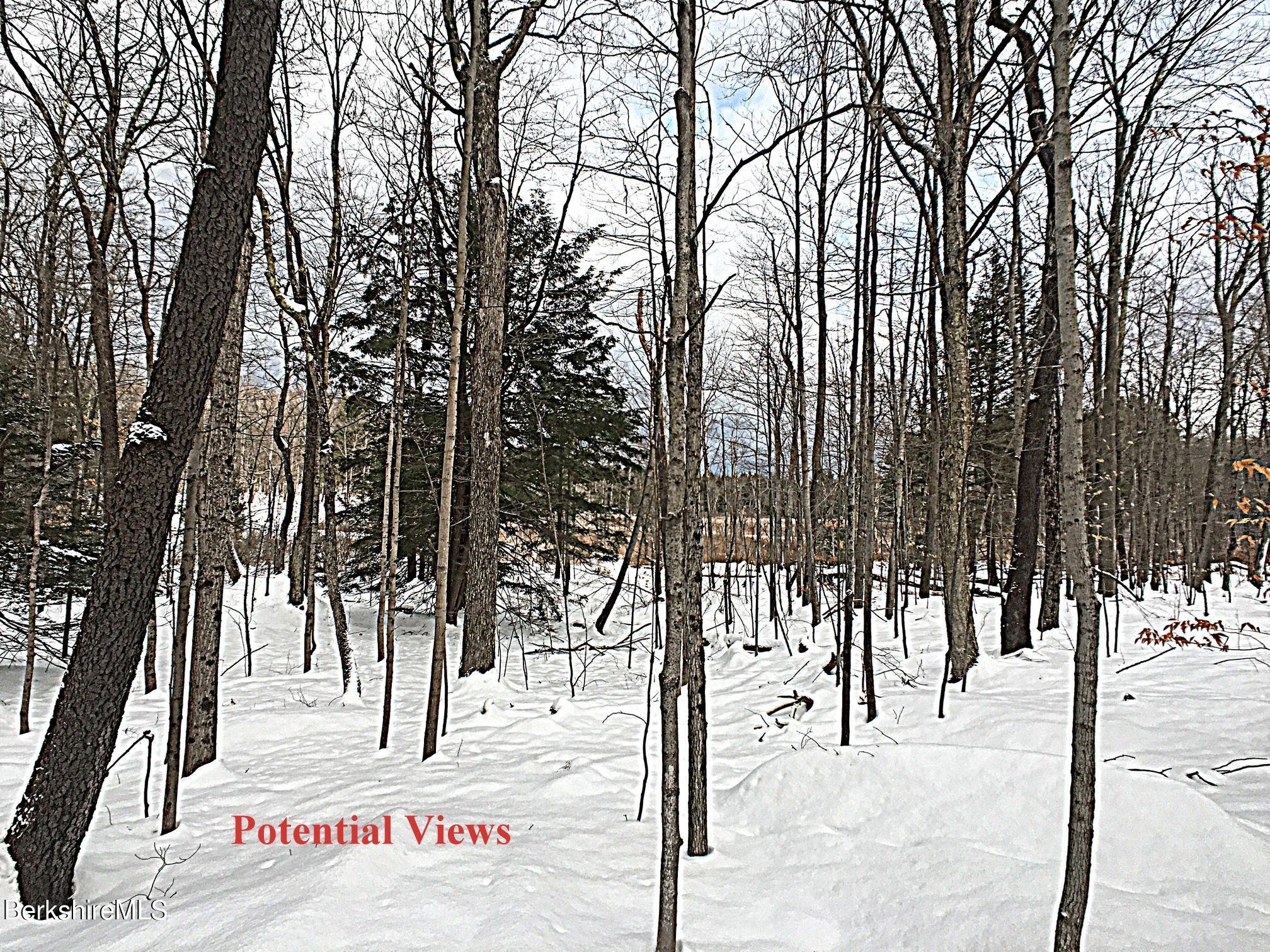 Benton Hill Road Becket, MA 01223 - Photo 2 of 9 a view of outdoor space with lots of trees