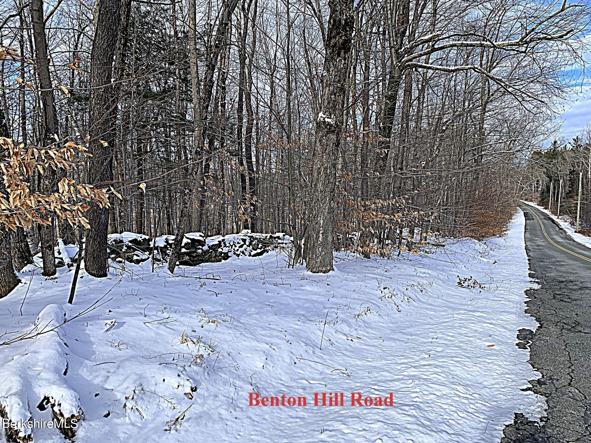 Benton Hill Road Becket, MA 01223 - Photo 4 of 9 a view of outdoor space yard and patio