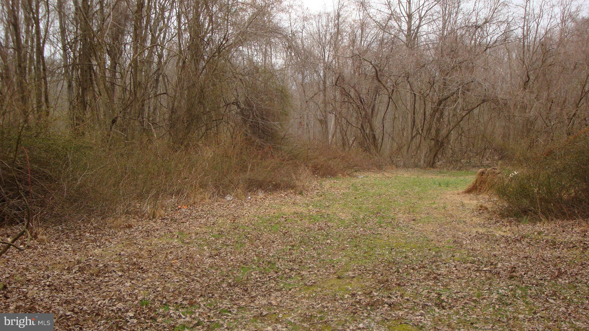 Showing view of woods