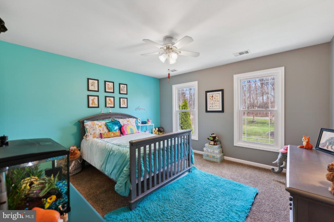 10025 Pine Tree Road Woodsboro, MD 21798 - Photo 25 of 44 Gallery Image 25
