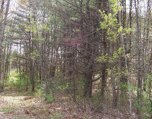 Lot #2 Bonny Eagle Road Hollis Center, ME 04042 - Photo 1 of 1 Land/Lot.
