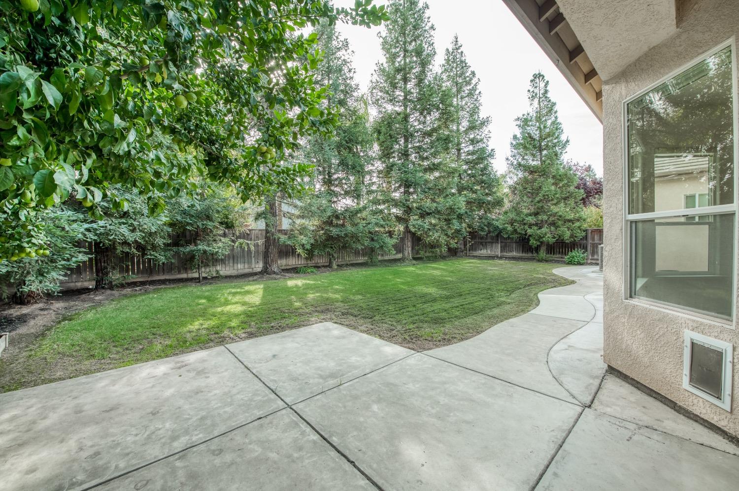 3252 Everglade Avenue Clovis, CA 93619 - Photo 29 of 31 a view of a backyard