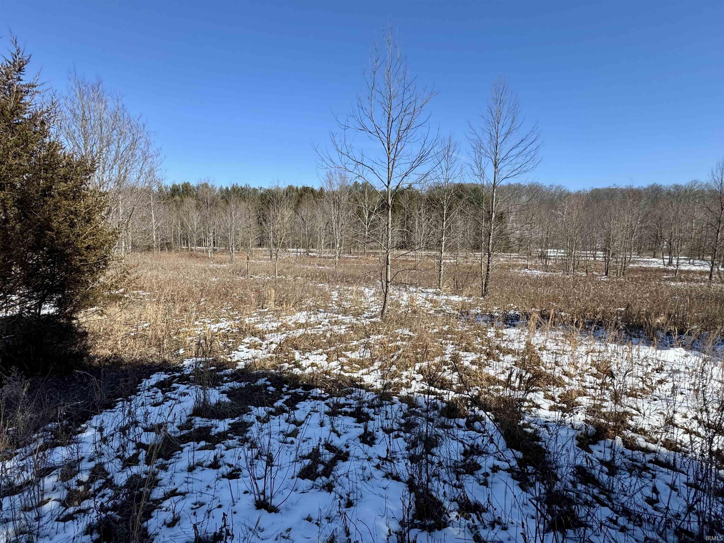 1467 Rattlesnake Road Spencer, IN 47460 - Photo 3 of 18