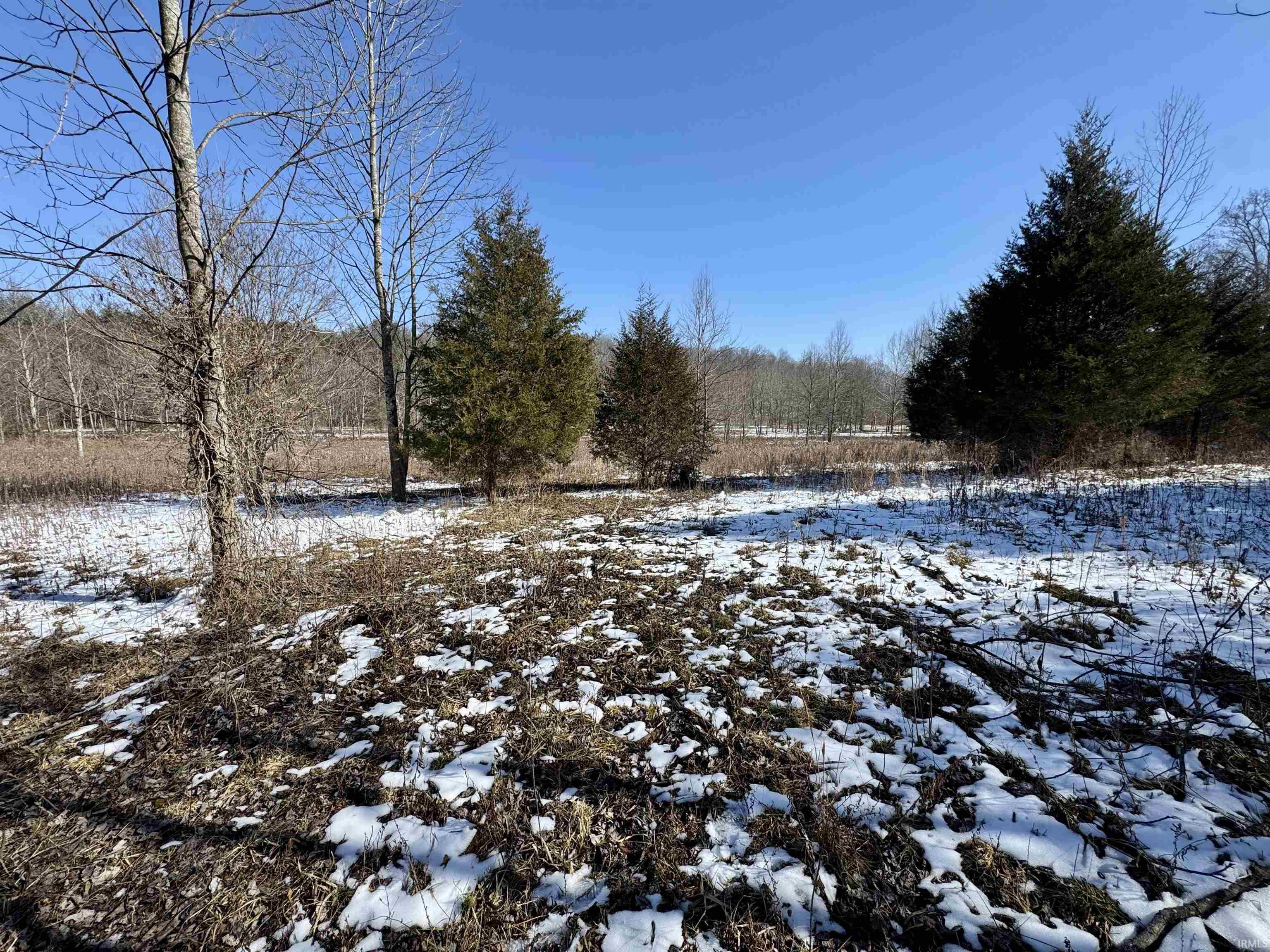 1467 Rattlesnake Road Spencer, IN 47460 - Photo 4 of 18