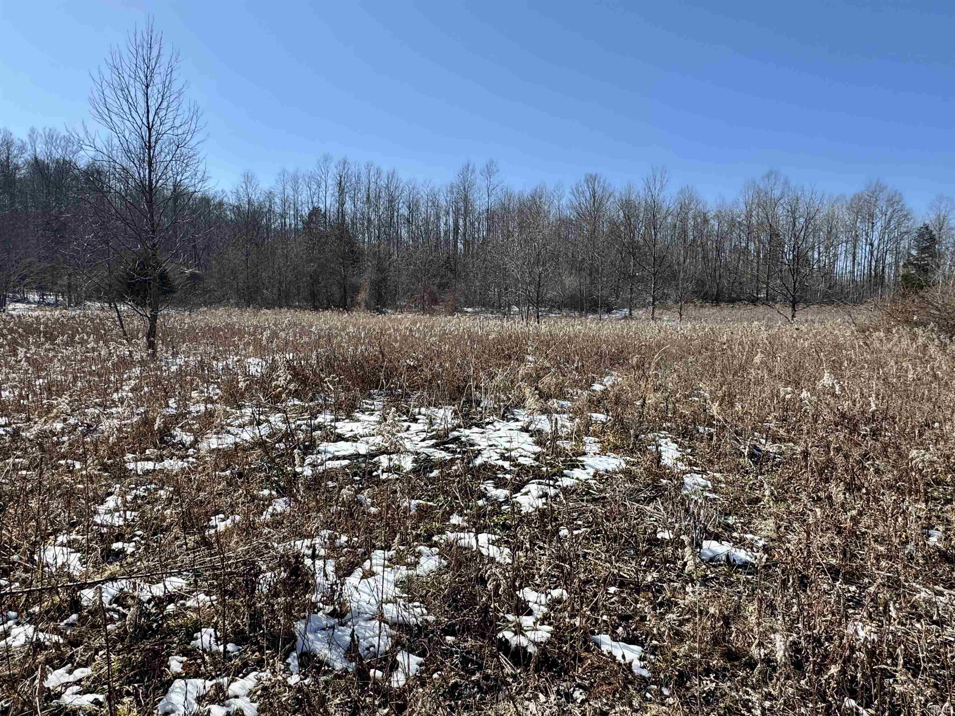 1467 Rattlesnake Road Spencer, IN 47460 - Photo 10 of 18