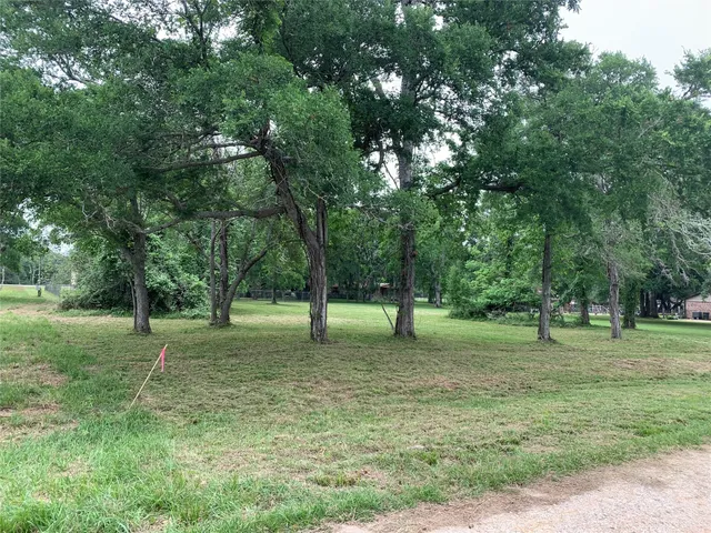 $45,000 | 0 Banyansco Avenue, Bay City, TX 77414