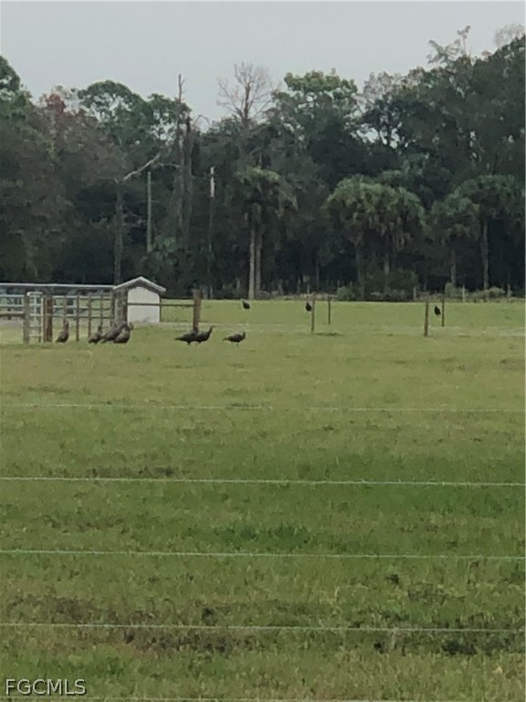3790 Goggin Road Alva, FL 33920 - Photo 22 of 38 a view of a field