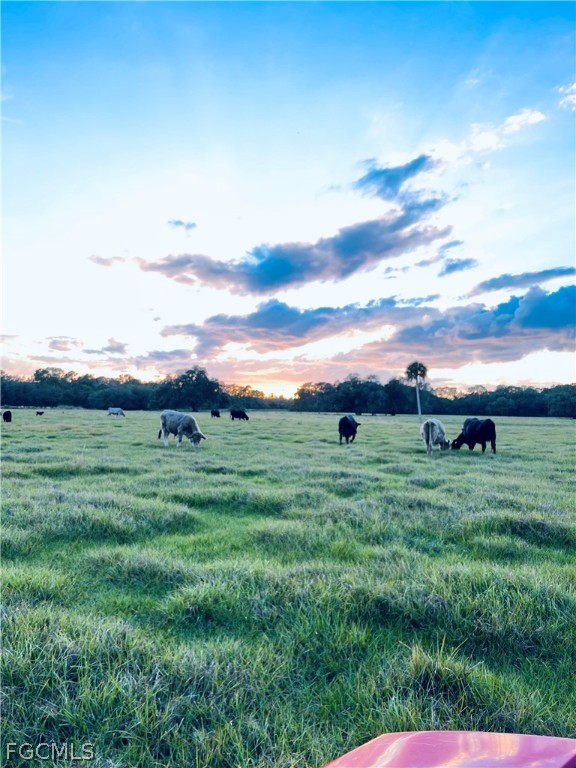3790 Goggin Road Alva, FL 33920 - Photo 23 of 38 a view of a field with an trees