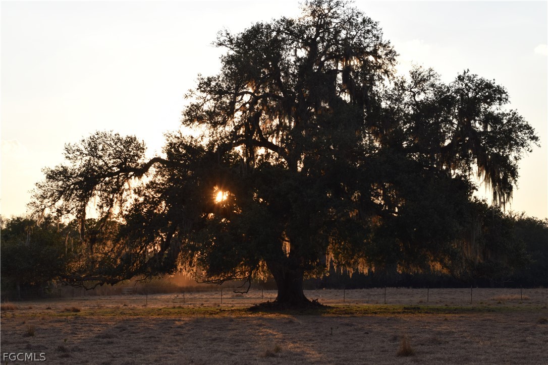 3790 Goggin Road Alva, FL 33920 - Photo 28 of 38 a view of outdoor space with green space