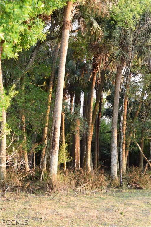 3790 Goggin Road Alva, FL 33920 - Photo 29 of 38 a view of a backyard of the house