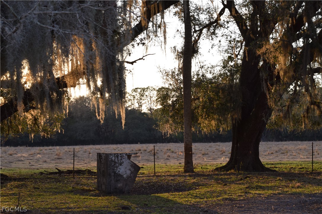 3790 Goggin Road Alva, FL 33920 - Photo 30 of 38 a view of a tree next to a yard