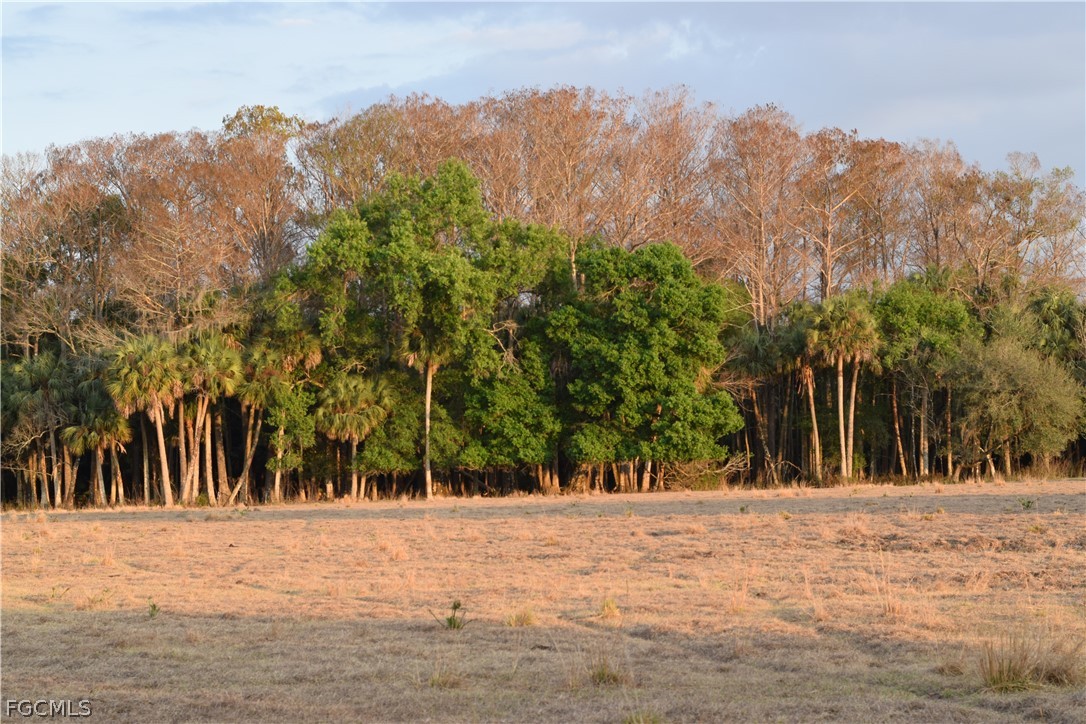 3790 Goggin Road Alva, FL 33920 - Photo 31 of 38 a view of outdoor space and yard