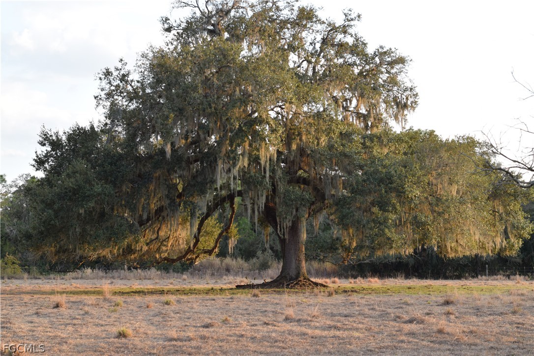 3790 Goggin Road Alva, FL 33920 - Photo 32 of 38 a view of a yard