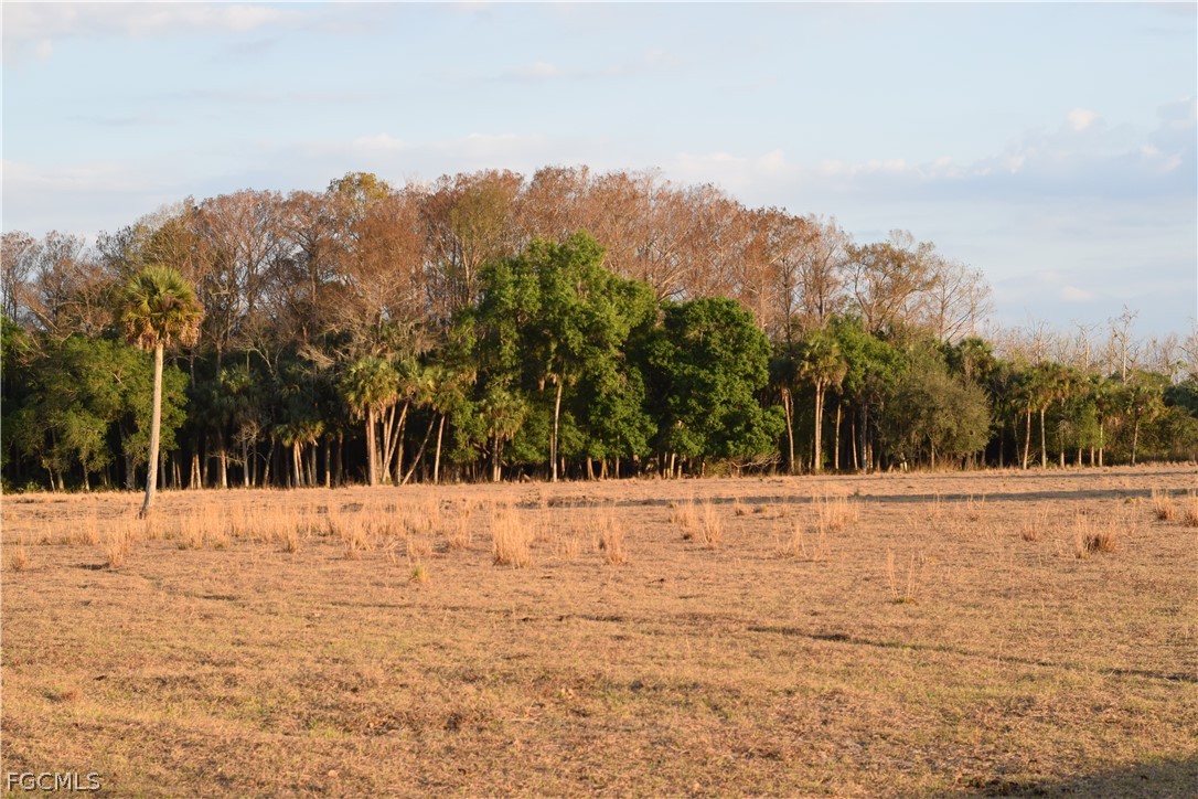 3790 Goggin Road Alva, FL 33920 - Photo 35 of 38 a view of an ocean