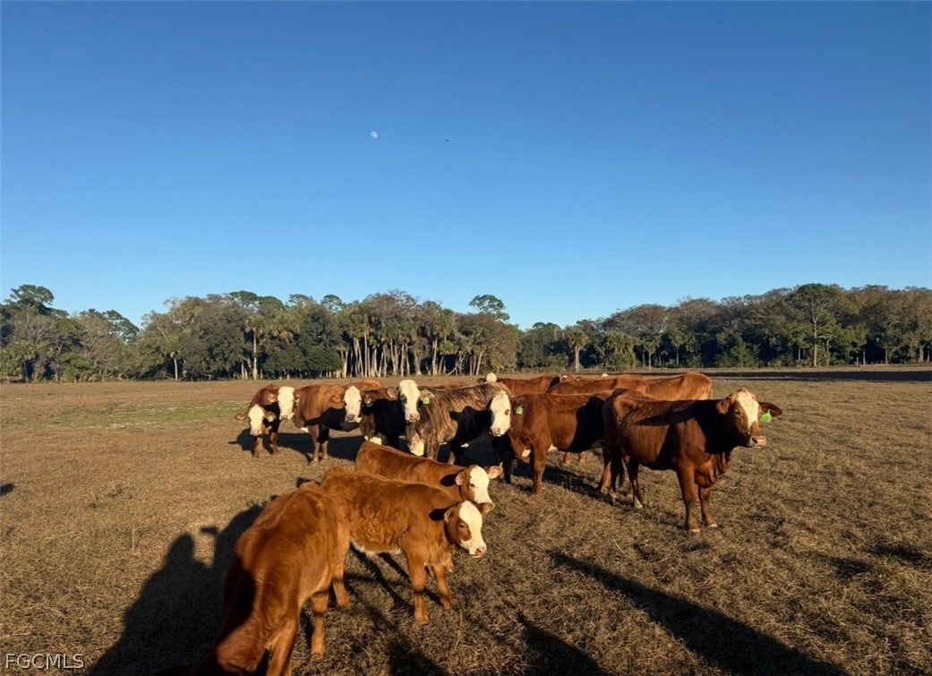 3790 Goggin Road Alva, FL 33920 - Photo 36 of 38 a view of a lake with houses in the background