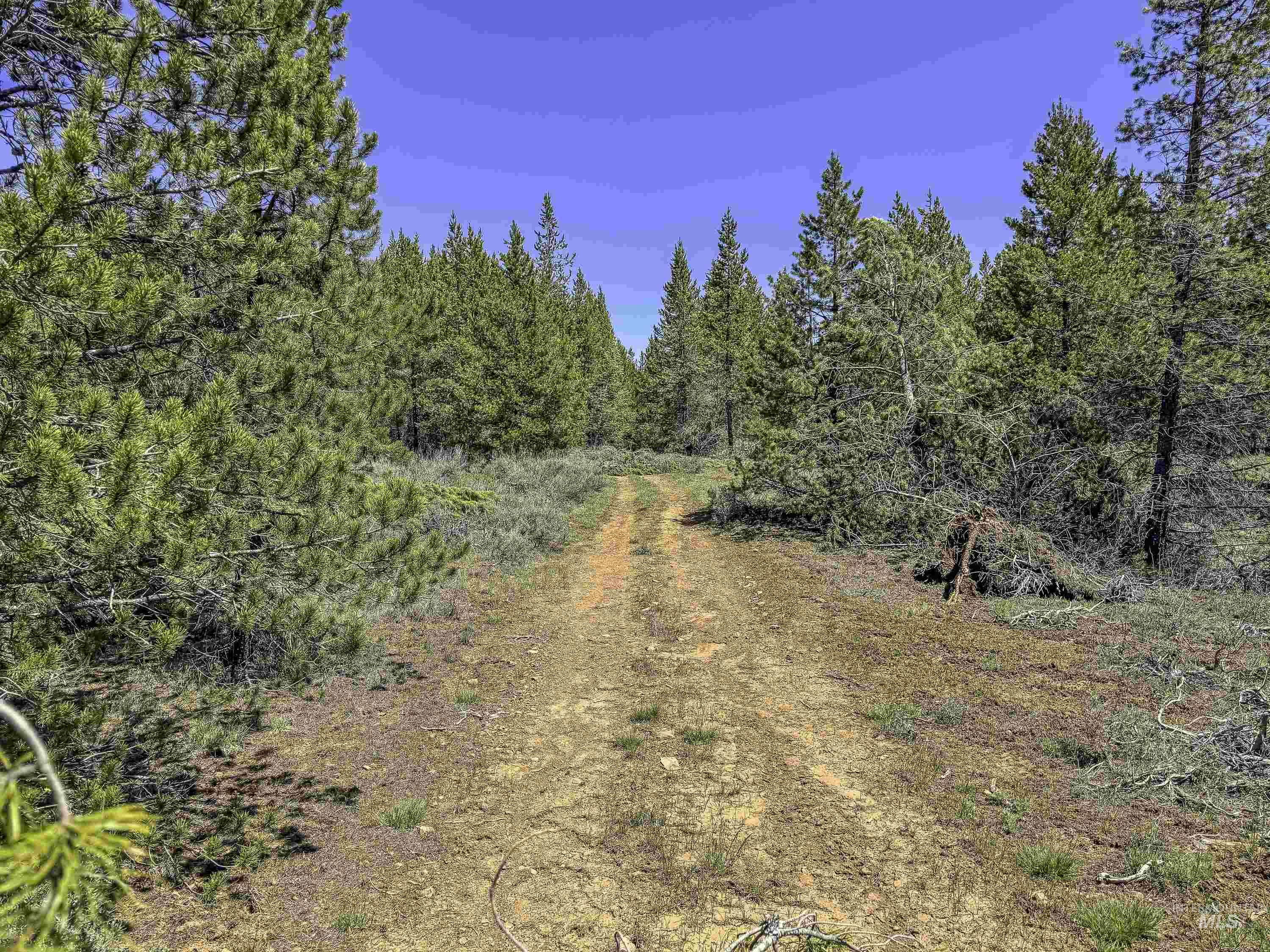 Tbd Deer Creek Road Winchester, ID 83555 - Photo 38 of 39
