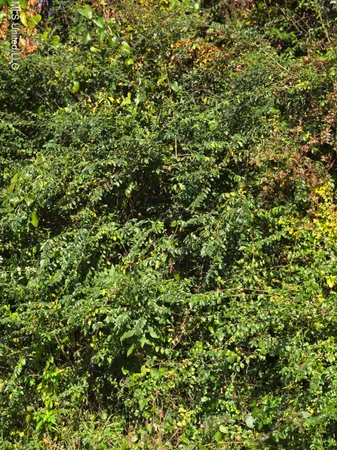 $600,000 | Kings Road, Moss Point, MS 39562