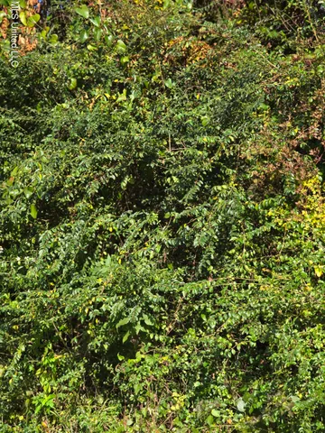 $600,000 | Kings Road, Moss Point, MS 39562