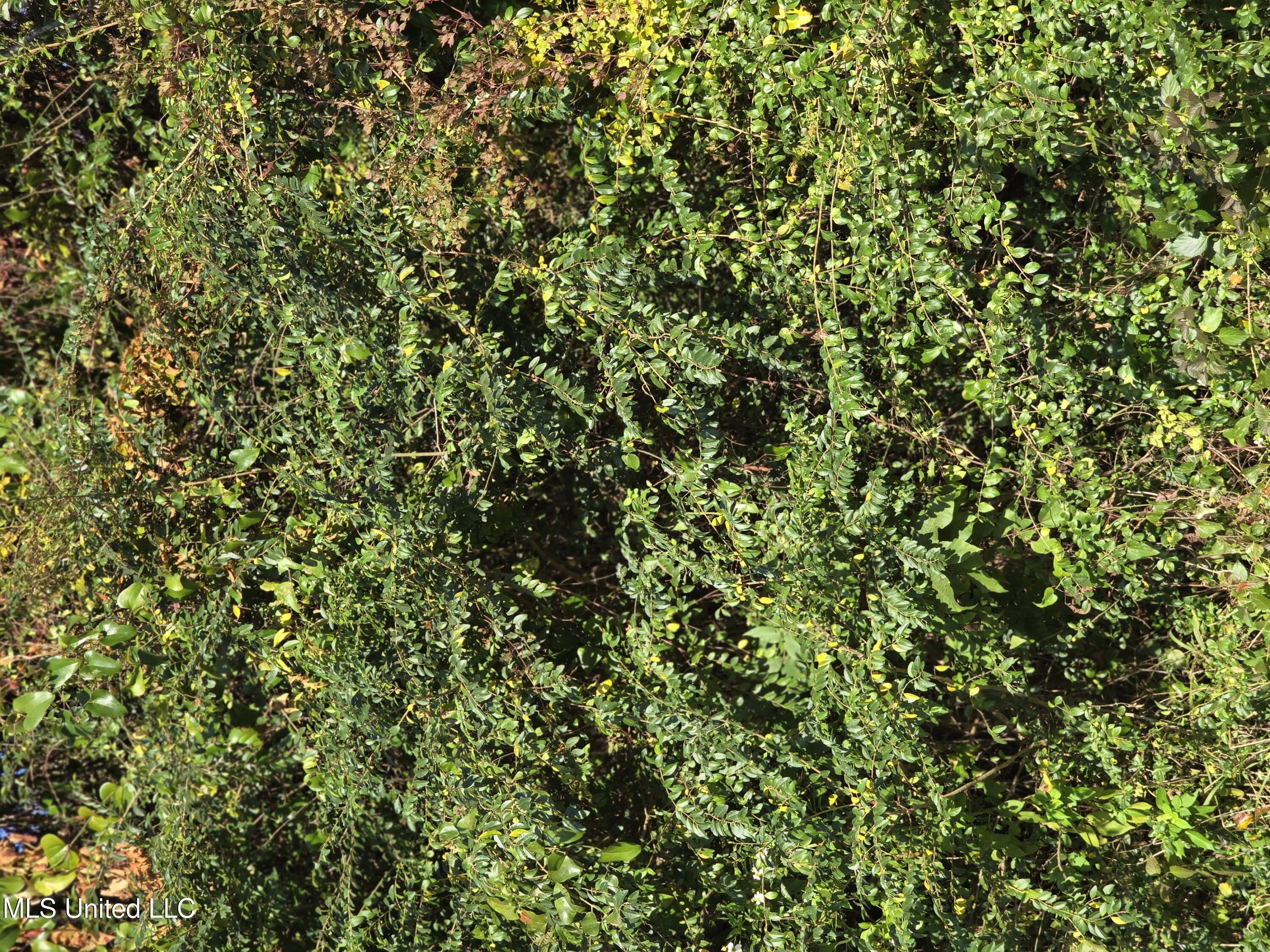 80 ACRES OF LANDLOCKED PROPERTY