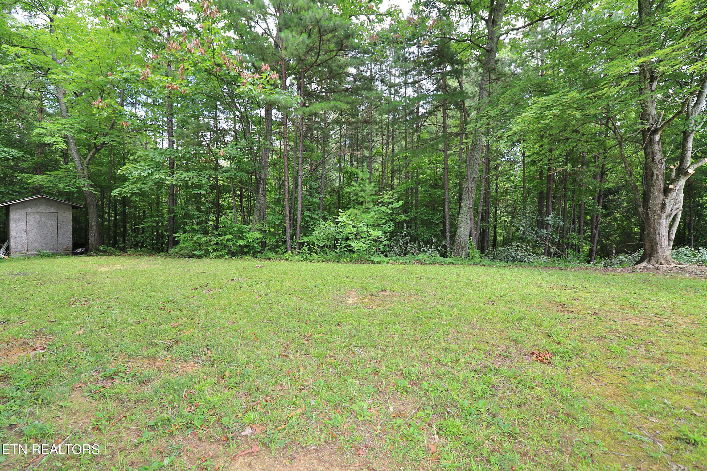 815 Abbott Road Winfield, TN 37892 - Photo 25 of 27 094A1313