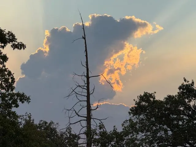 $499,900 | 39468 Summit Drive, Oakhurst, CA 93644