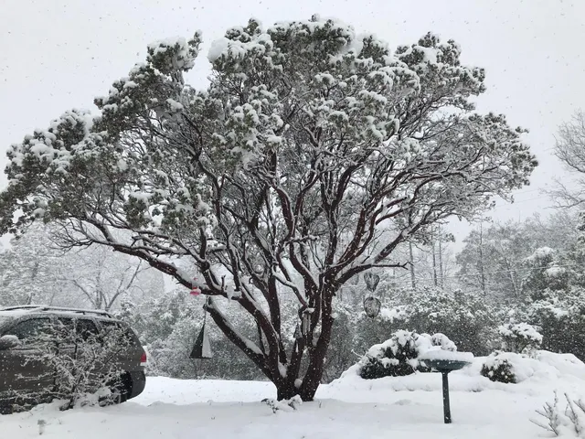 $499,900 | 39468 Summit Drive, Oakhurst, CA 93644