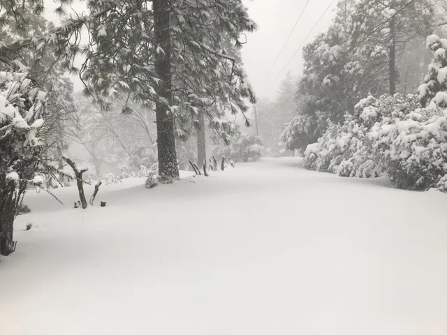 $499,900 | 39468 Summit Drive, Oakhurst, CA 93644