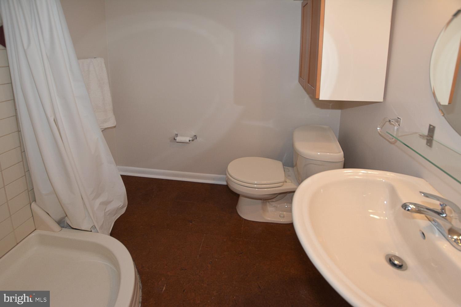 8568 Gwynedd Way Springfield, VA 22153 - Photo 25 of 30 Updated Full Bath
