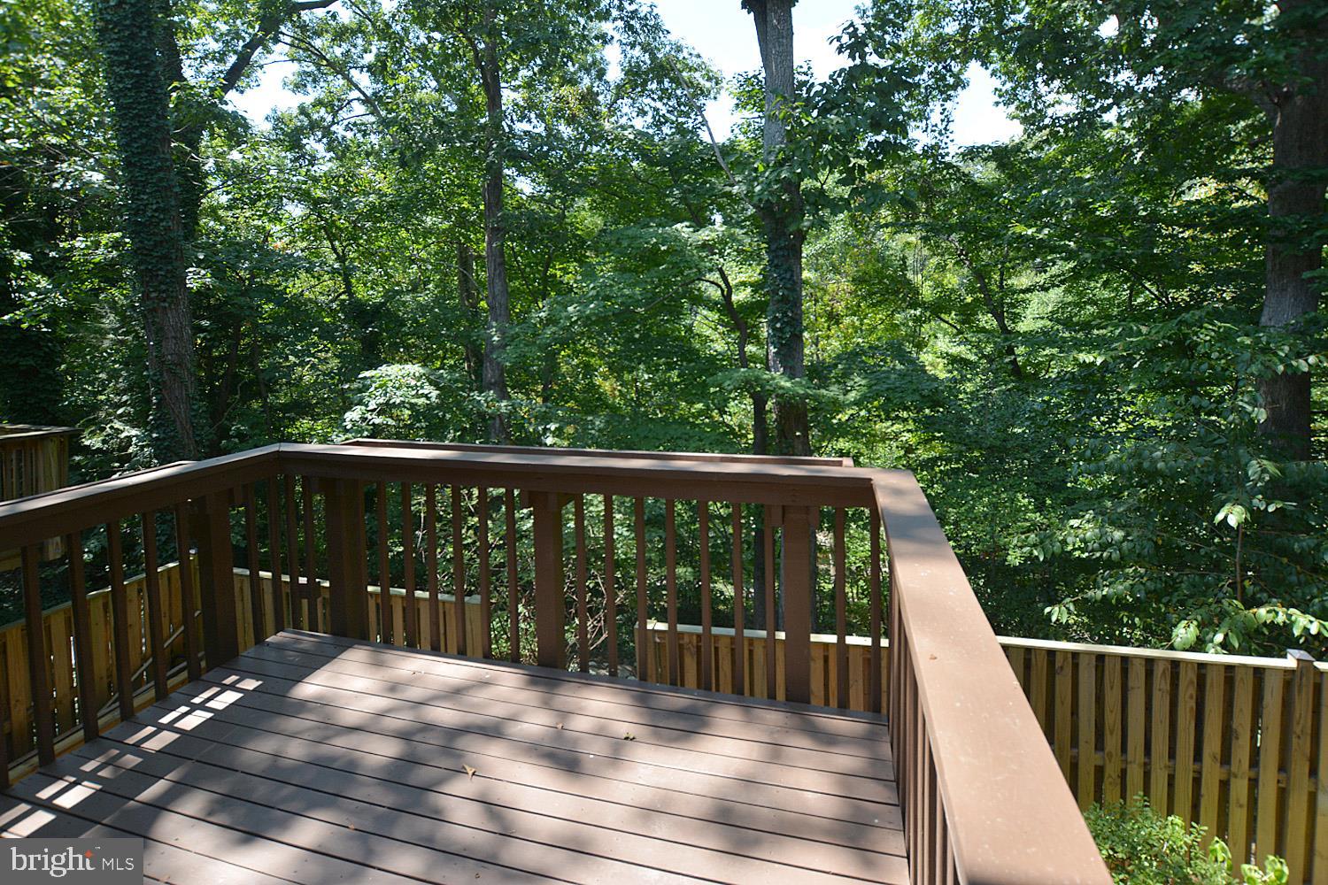 8568 Gwynedd Way Springfield, VA 22153 - Photo 29 of 30 Very Private Setting