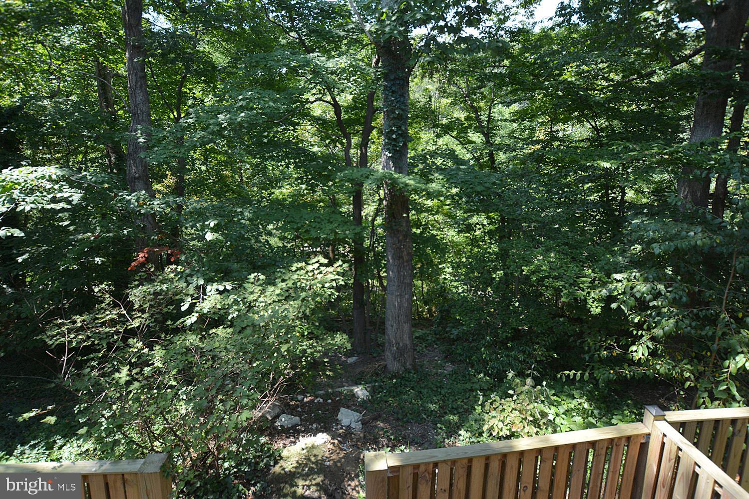 8568 Gwynedd Way Springfield, VA 22153 - Photo 30 of 30 Luscious View of Wooded Wonderland