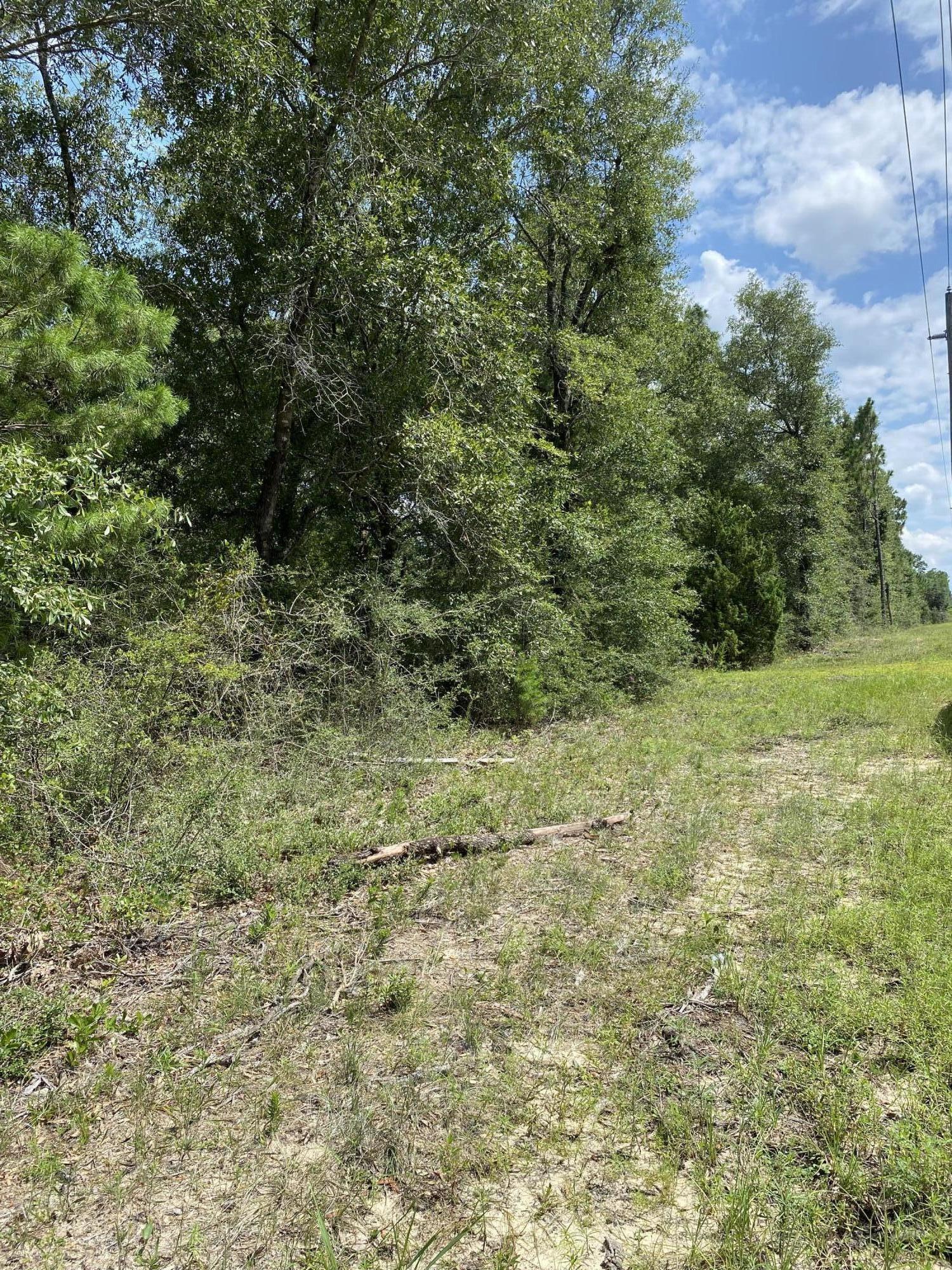 2304 Laird Road Crestview, FL 32539 - Photo 6 of 8 a view of a yard with a tree
