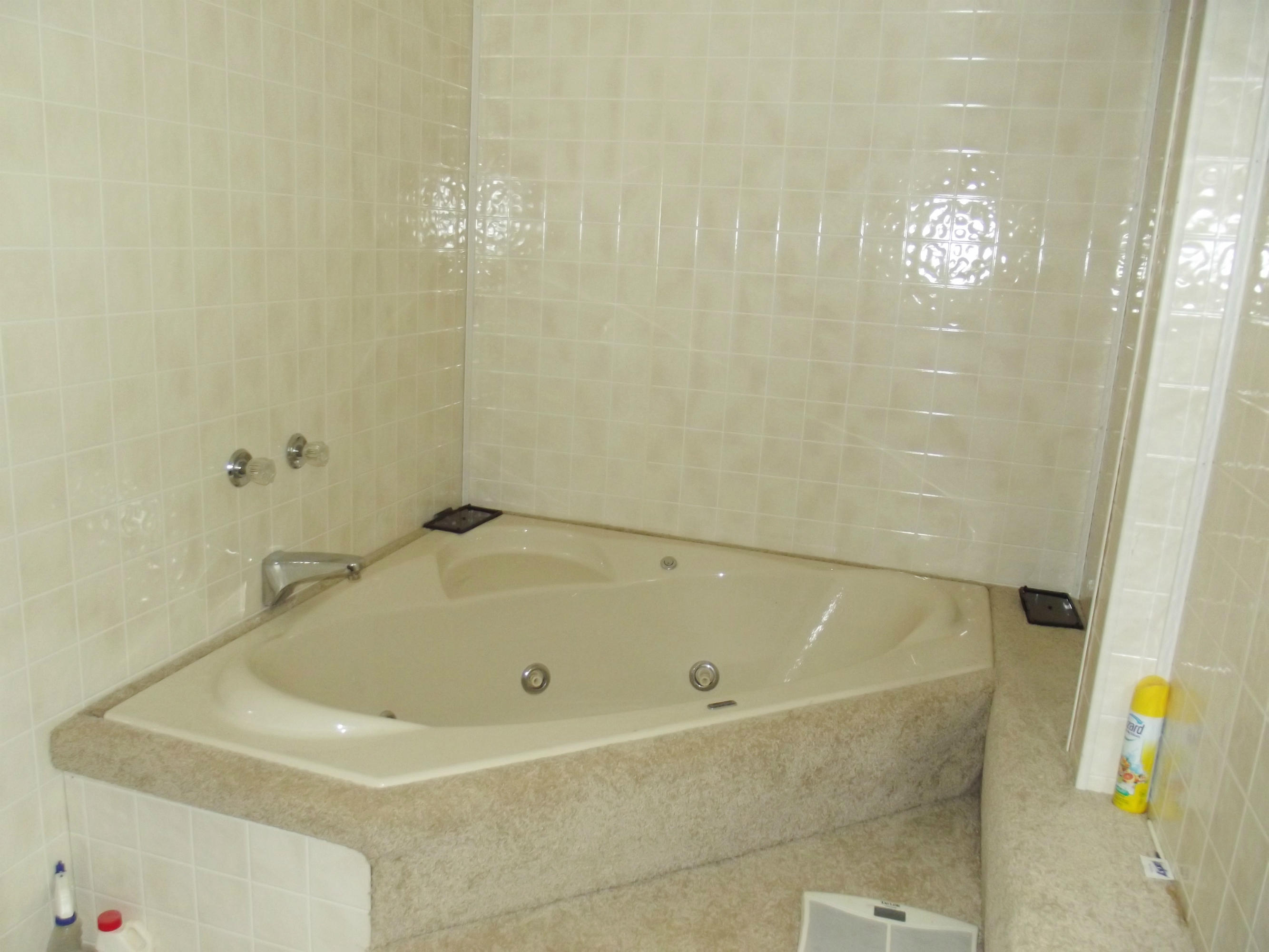 714 Hilltop Road Spring City, TN 37381 - Photo 17 of 33 tub in master bath