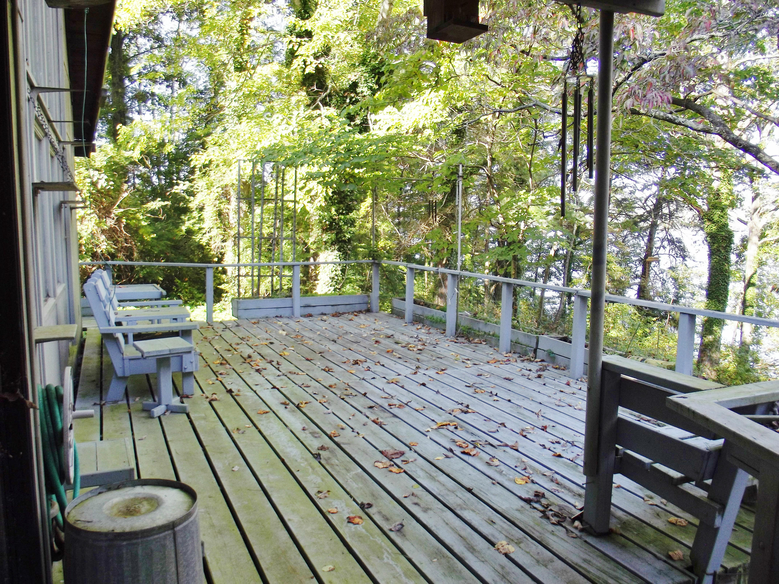 714 Hilltop Road Spring City, TN 37381 - Photo 20 of 33 back deck