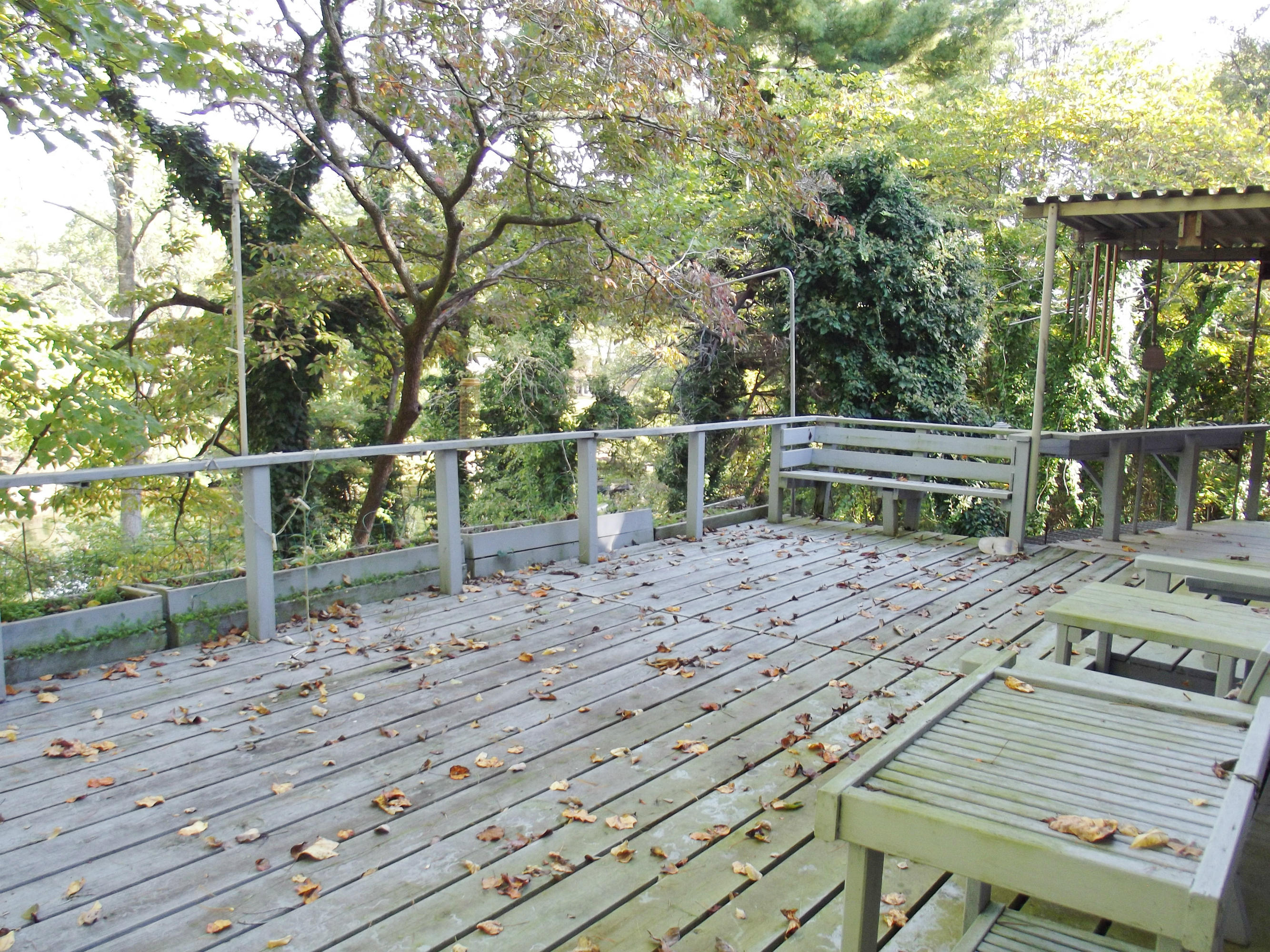 714 Hilltop Road Spring City, TN 37381 - Photo 21 of 33 back deck 2