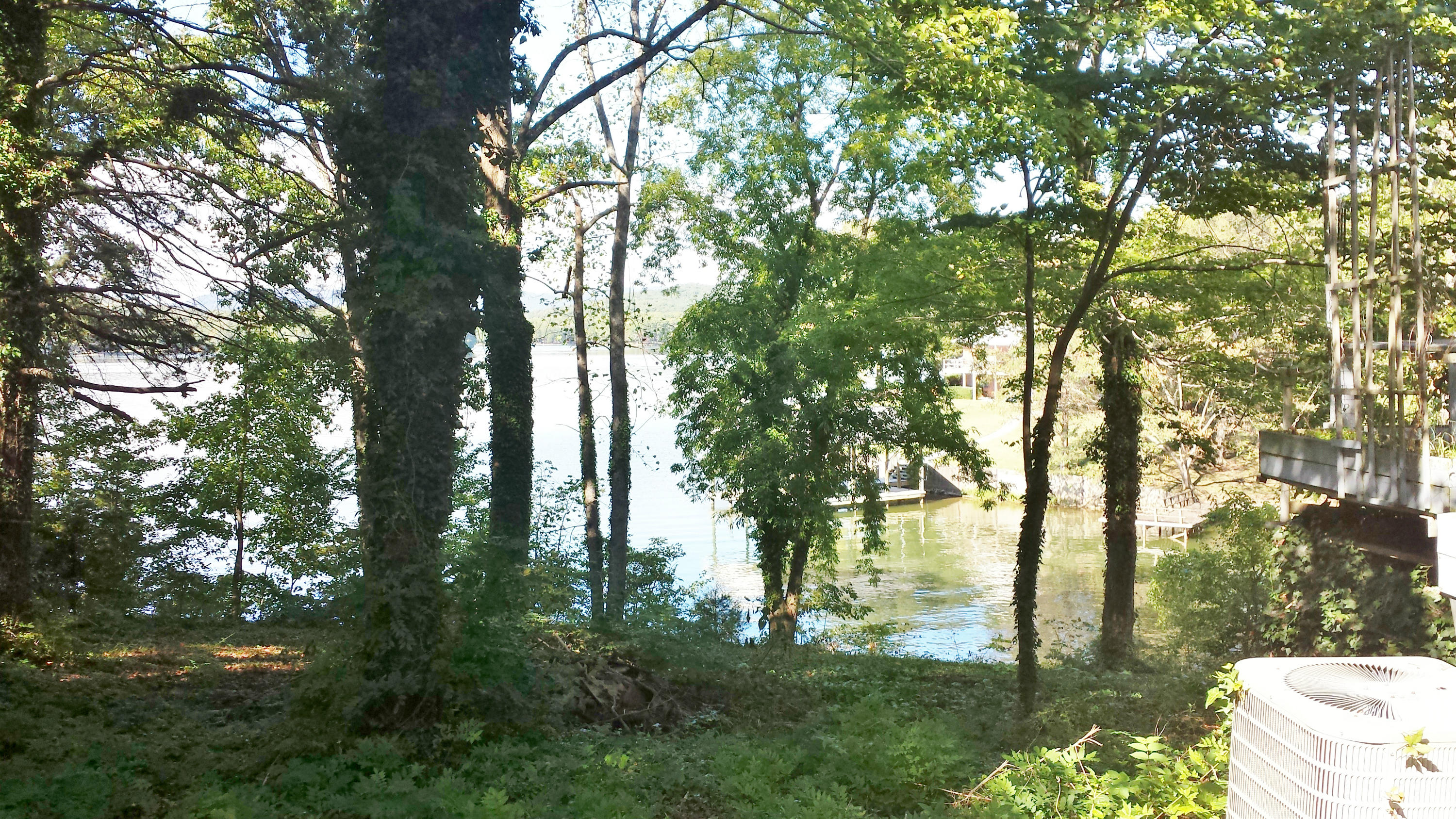 714 Hilltop Road Spring City, TN 37381 - Photo 22 of 33 view of lake