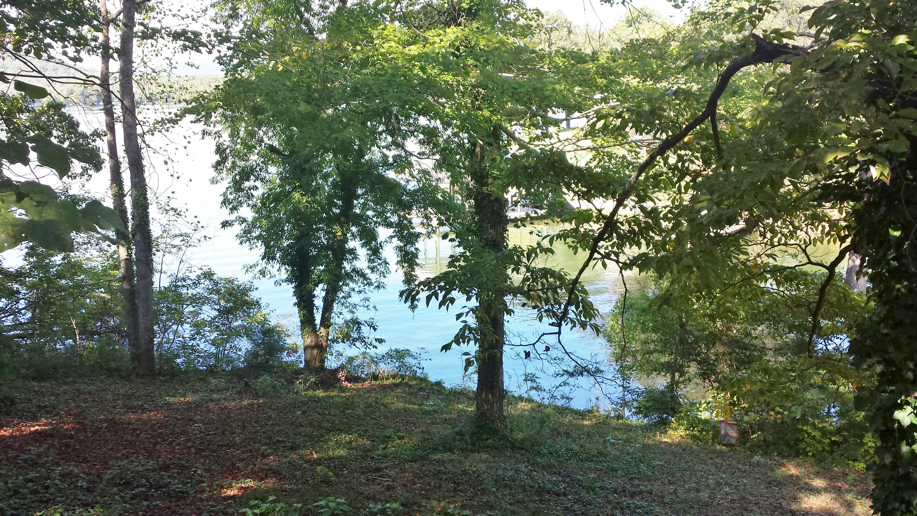 714 Hilltop Road Spring City, TN 37381 - Photo 23 of 33 view of lake from deck