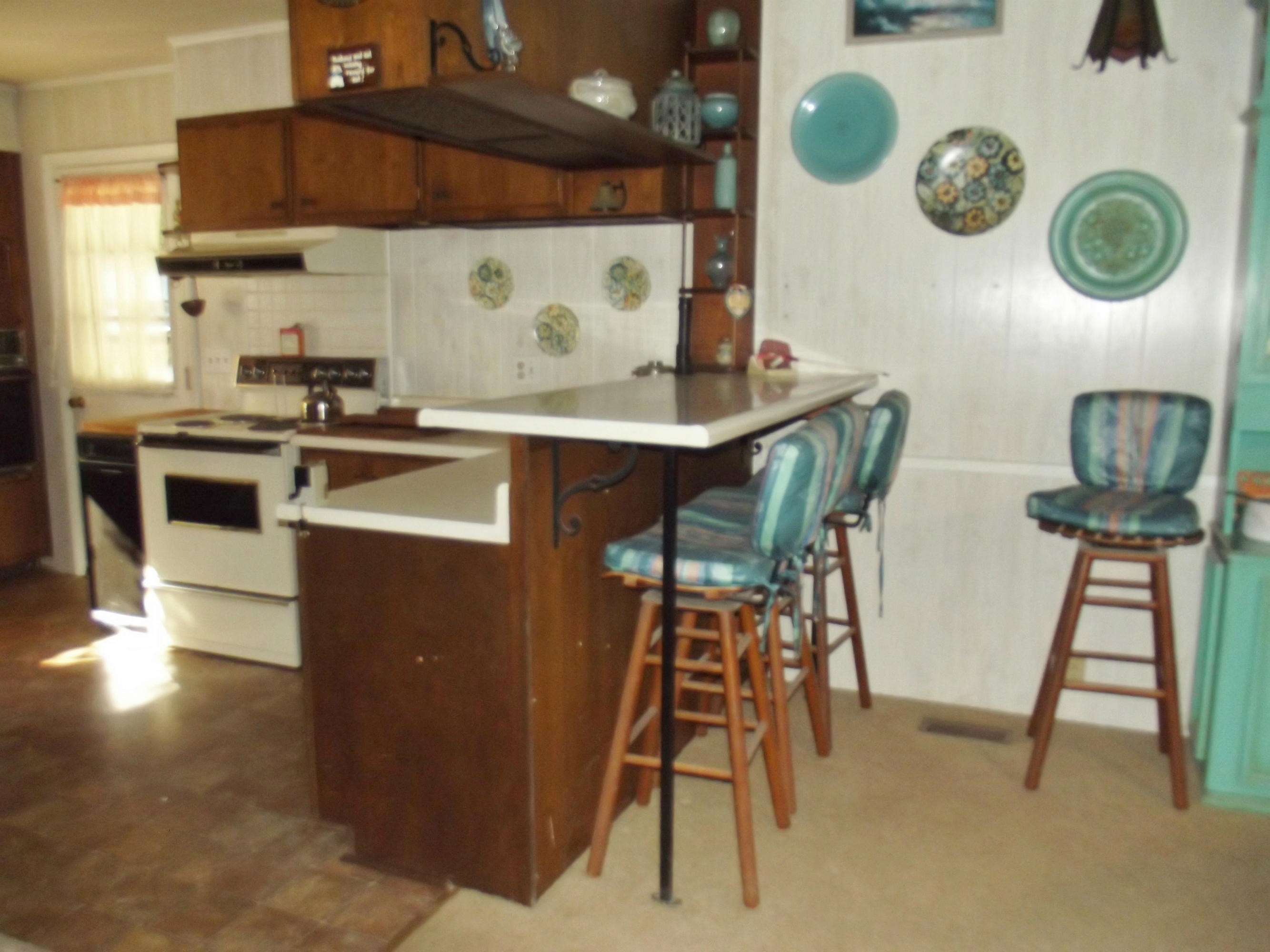 714 Hilltop Road Spring City, TN 37381 - Photo 5 of 33 breakfast bar