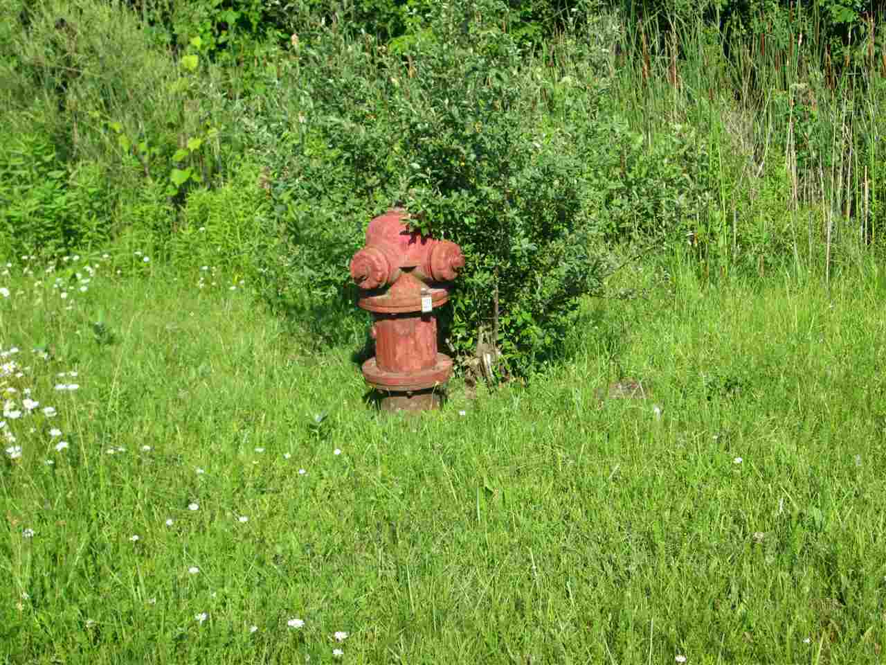 0 Wadhams Road Smiths Creek, MI 48074 - Photo 4 of 7