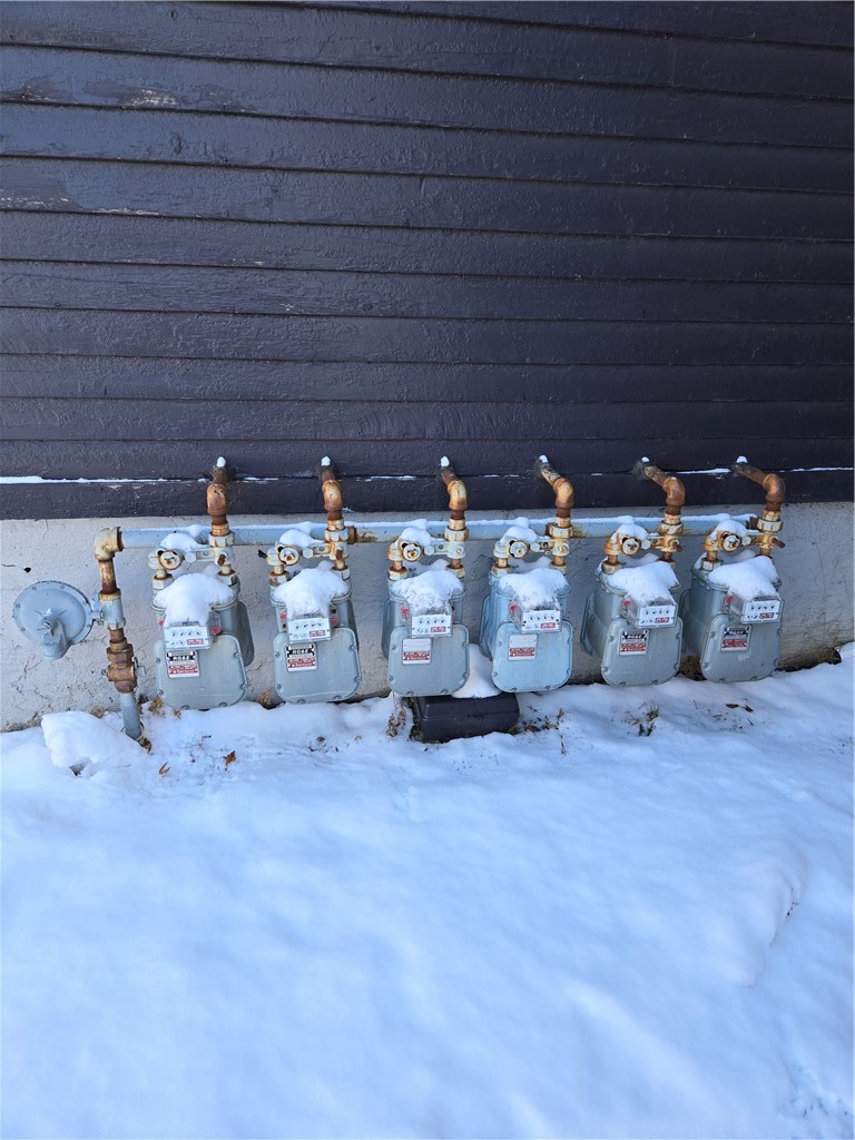 8 Rowley Street Rochester, NY 14607 - Photo 24 of 37