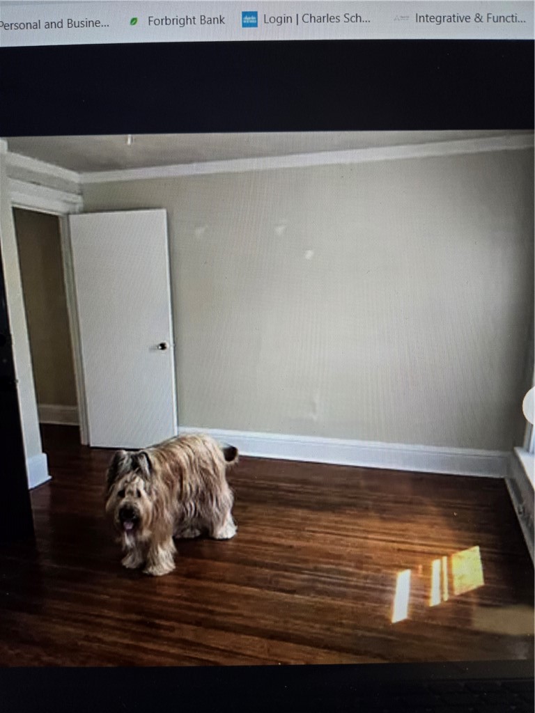 8 Rowley Street Rochester, NY 14607 - Photo 28 of 37