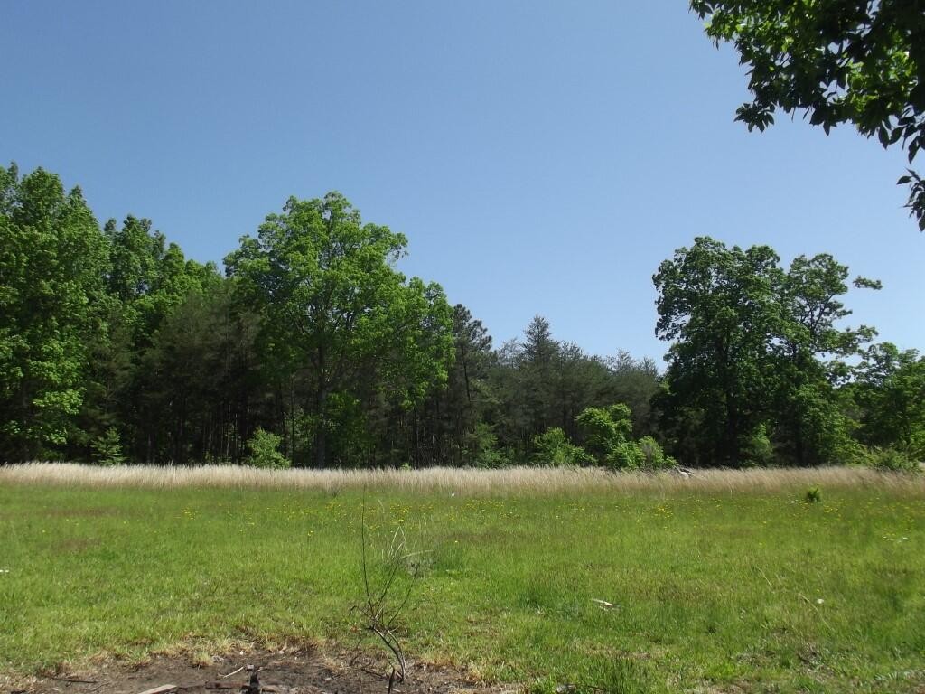 1394 Walt Reed Road Grandview, TN 37337 - Photo 51 of 68 Gallery Image 51