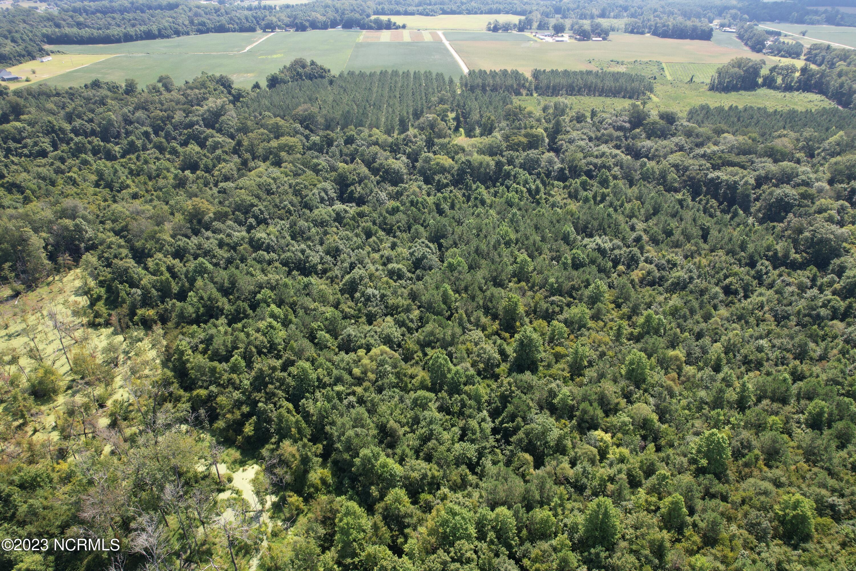 0 Wintergreen Road Cove City, NC 28523 - Photo 68 of 70 DJI_0869