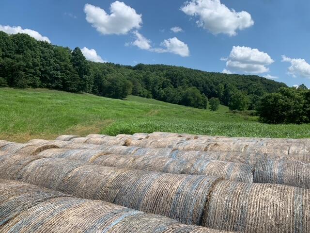 0 West Howards Mill Road Owingsville, KY 40360 - Photo 3 of 11 Image 10